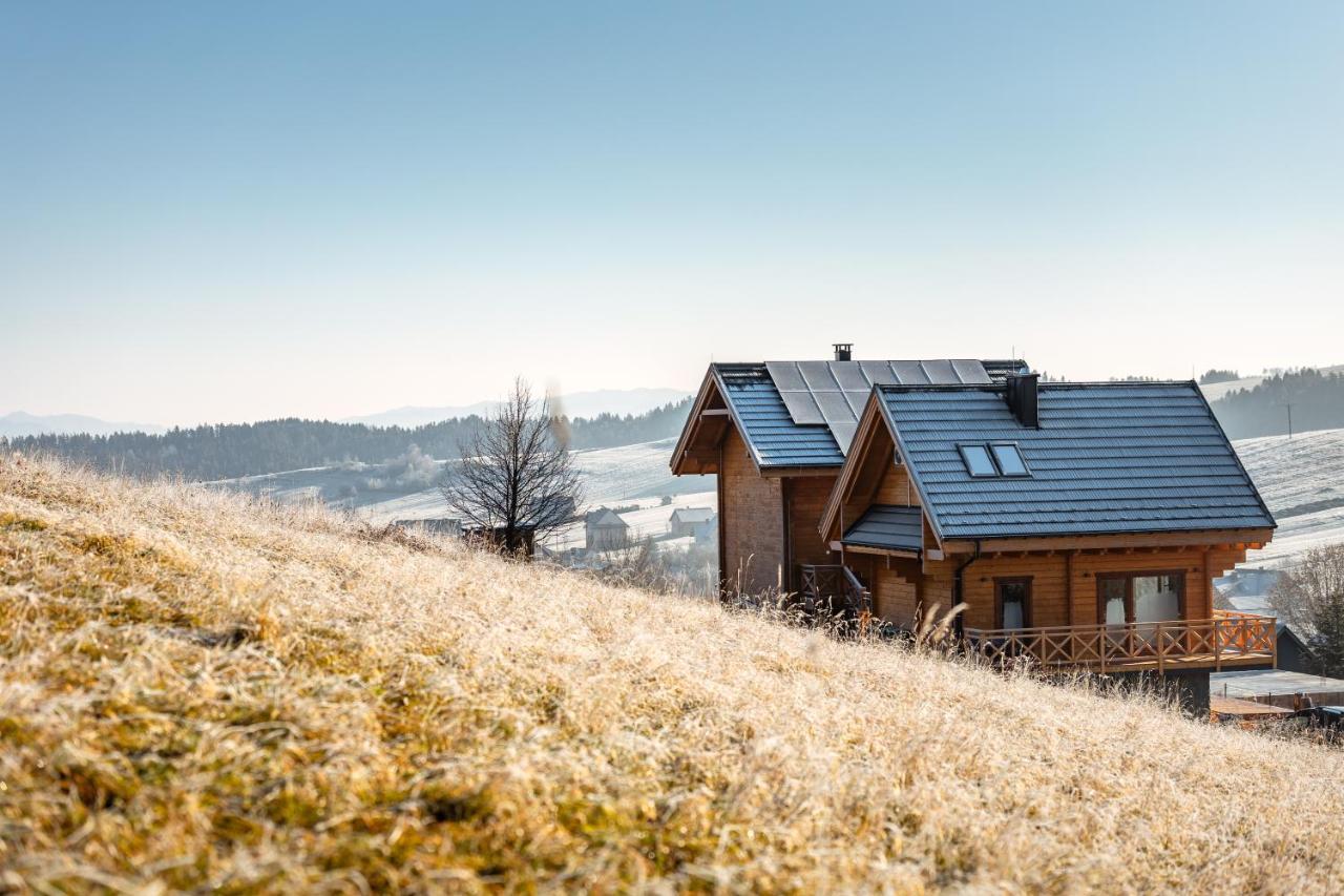 Houten Vakantiewoning "Reisnaarpolen" Royaal Ontbijt, Sauna En Hottub Czarna Góra 外观 照片